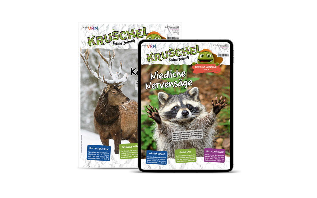 Mockup des Kruschel-Magazins in Print & Digital (Tablet)